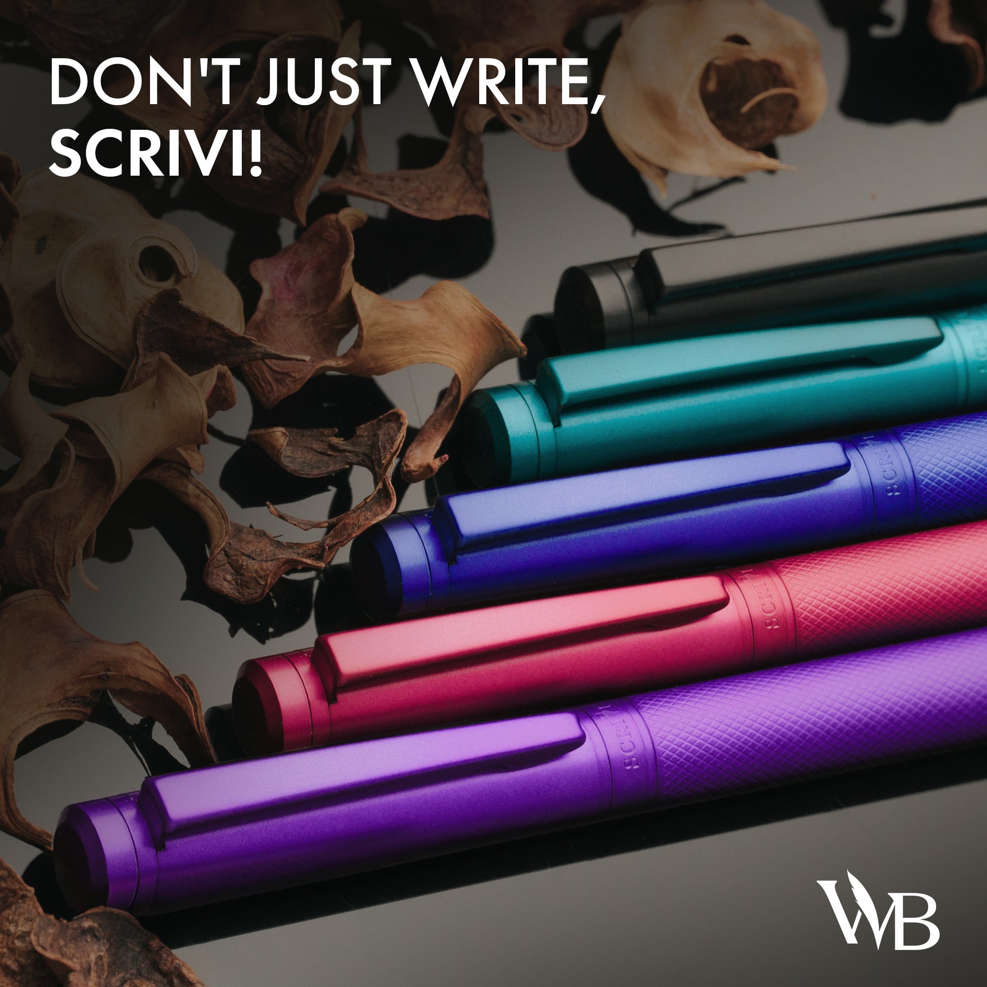 Scrivi - Artistry Fountain Pen Set