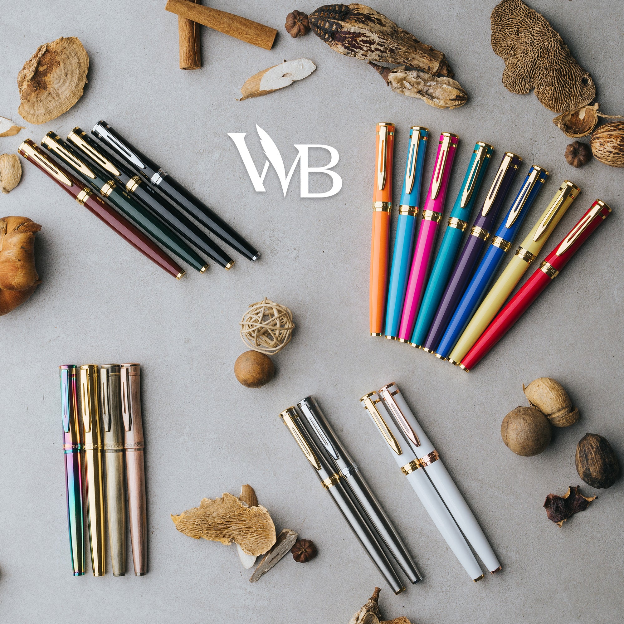 Erudite Fountain Pen Set