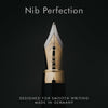 Replacement Nibs for Wordsworth & Black Fountain Pens