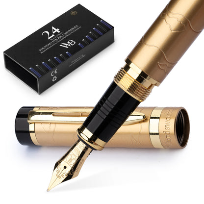 Primori Fountain Pen Set