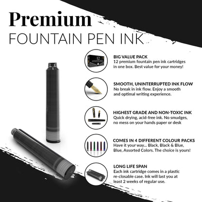 12 Pack Fountain Pen Ink Refills